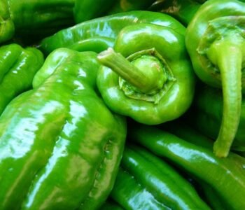 Pimientos verdes